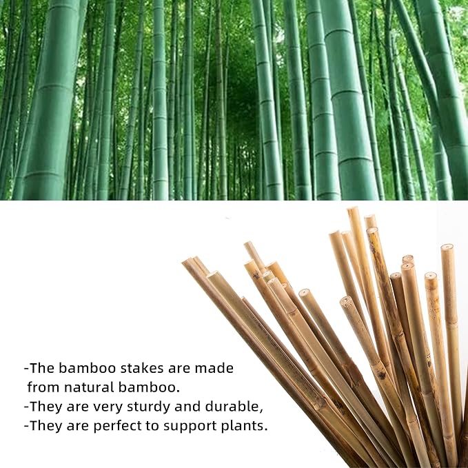 Avalution 10 Pack Natural Bamboo Trellis - Image 2