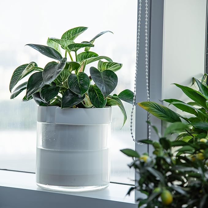 Phoenix Vine 10 Inch Self Watering Planter - Image 6
