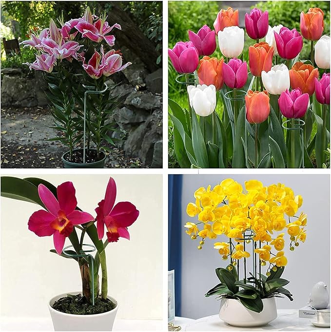Joyhalo 20 Pack Plant Stakes, 16 Inch Plant Support Stakes, Flower Stakes - Image 7