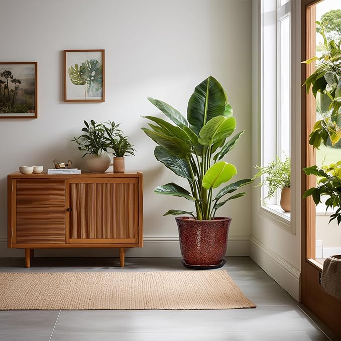 10 Inch Plant Pot - Image 3