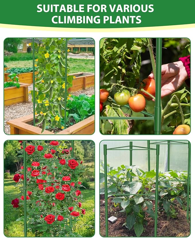 3 Pack Extra Larger Tomato Cages, 51in*17in Adjustable Tomatoes Plant Stakes - Image 4
