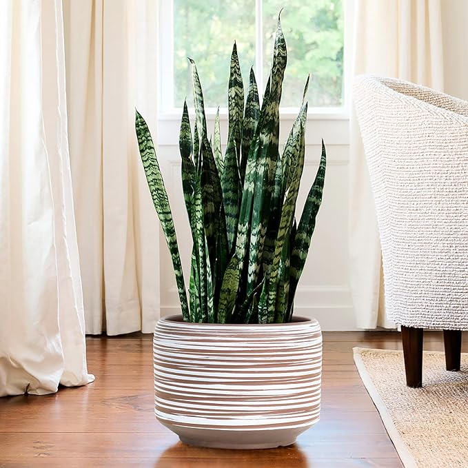 10 Inch Ceramic Plant Pot with Drainage – Large Flower Pot - Image 7