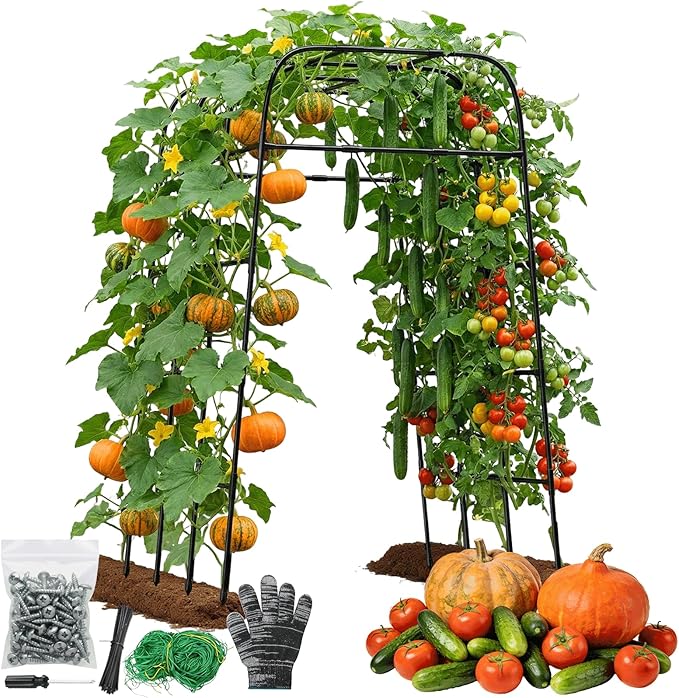 Garden Arch Trellis for Climbing Plants, Metal Cucumber & Tomato Cage, by MQHUAYU