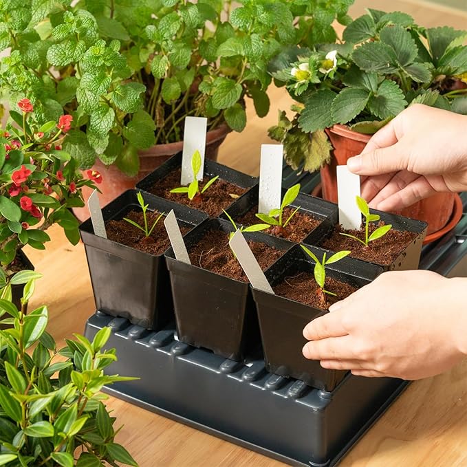 June Fox Square Nursery Pots 3.3 Inches Flexible Plastic Seedling Pots Square - Image 7