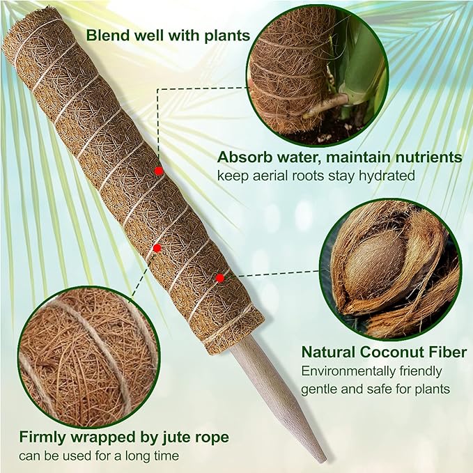 Moss Pole 58.7 Inch - Image 3