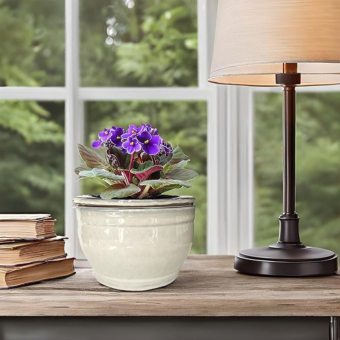 African Violet Pots Self Watering Round Ceramic Violet Pot - Image 7