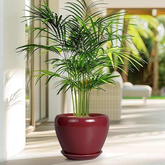 Ceramic Planter - Image 5