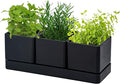 D'vine Dev Herb Garden Planter Set, Plastic Plant Pots by DvineDevPlanterPotsandStand