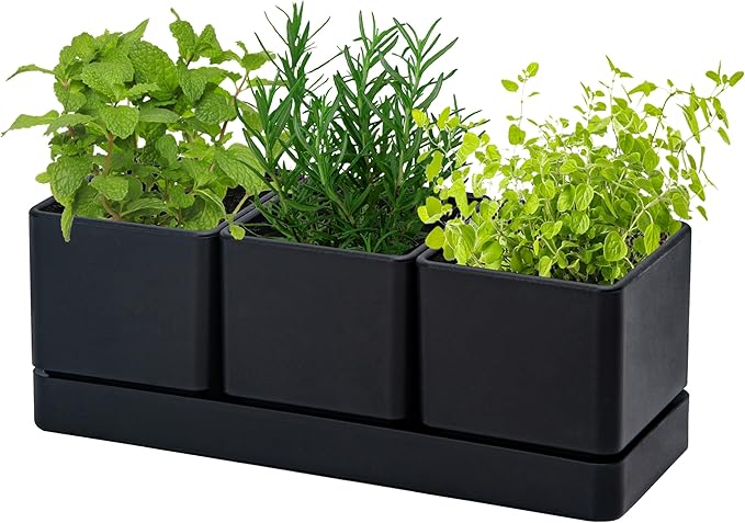 D'vine Dev Herb Garden Planter Set, Plastic Plant Pots by DvineDevPlanterPotsandStand