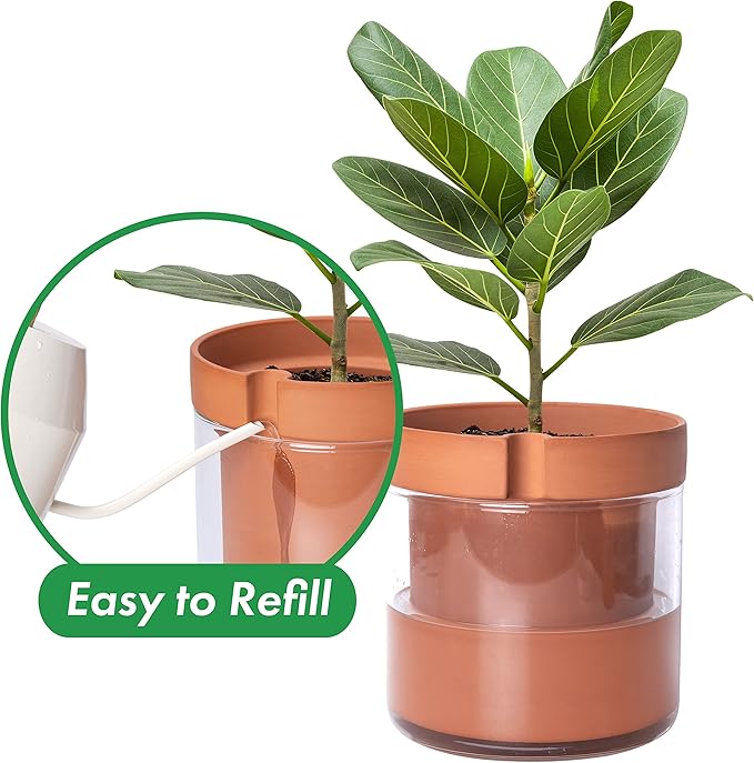 Phoenix Vine 8 Inch Self Watering Planter Pot, Terracotta Clay Pot - Image 4