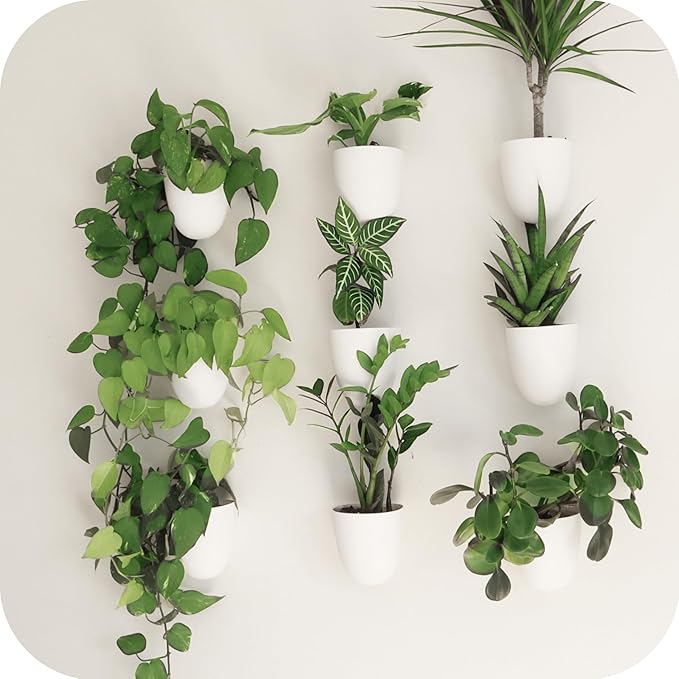 PlantPod Classic by MakeGood