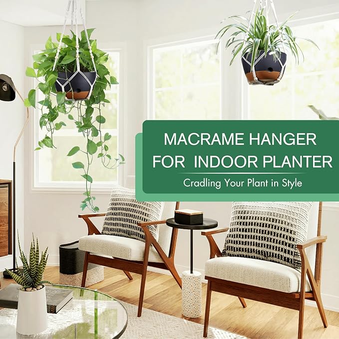 montresor Set of 2-8 Inch Hanging Planters - Image 2