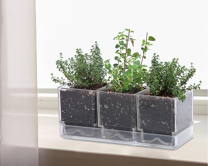 D'vine Dev Herb Garden Planter Set, Plastic Plant Pots - Image 4