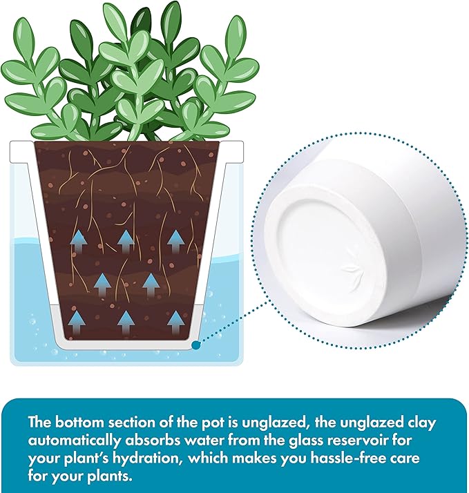 D'vine Dev 4 Inch Design Self Watering Planter - Image 4