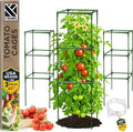 Tomato Cage Square by K-BRANDS