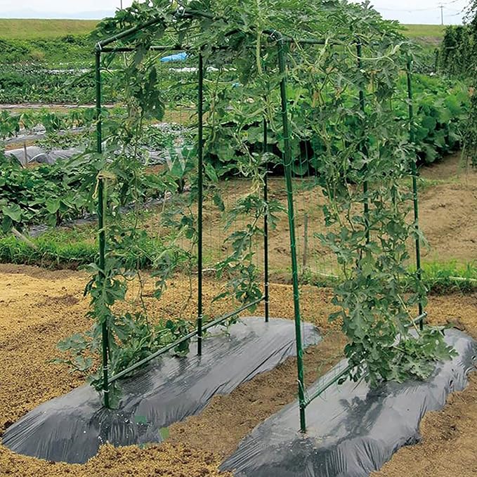 Xiny Tool Garden Stakes, 25 Pack Steel Plant Garden Tomato Stakes - Image 4
