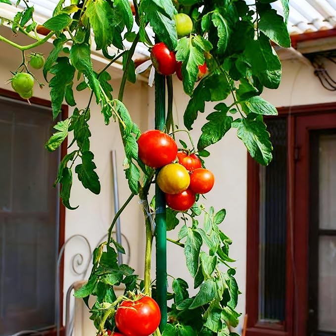 Xiny Tool Garden Stakes, 15 Pack 8 FT Steel Plant Garden Tomato Stakes - Image 7