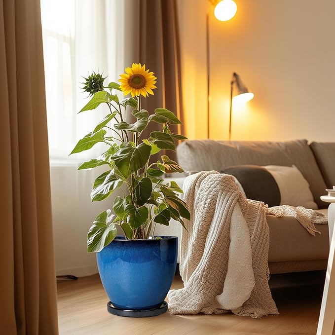 Ceramic Pots for Plants - Image 4