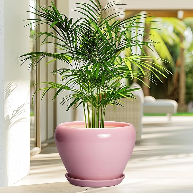 10 Inch Plant Pot - Image 4