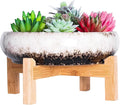 ARTKETTY Succulent Pots by ARTKETTY