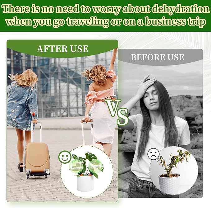 3pcs Large Plant Self Watering Globes, 17.5 oz Plastic Water Bulbs Top Fill - Image 6