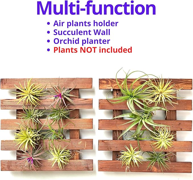ShopLaLa Wall Planter - Image 6