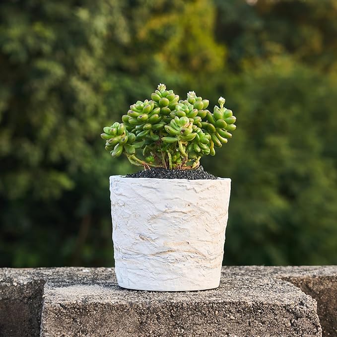 Ekirlin 7 Inch Natural Ore Textures Plant Pot, Resin Outdoor Planters - Image 6