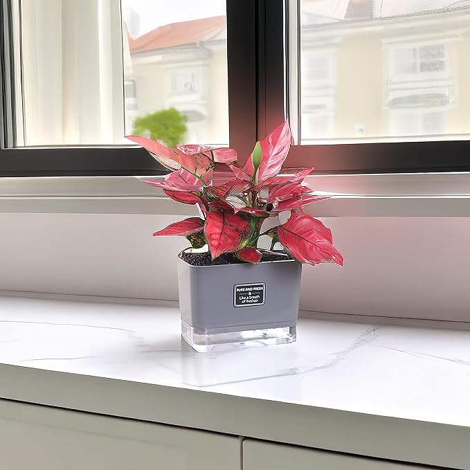 FAMZ Self Watering Pots for Outdoor Plants 4 Pack, Suitable for Indoor and - Image 5
