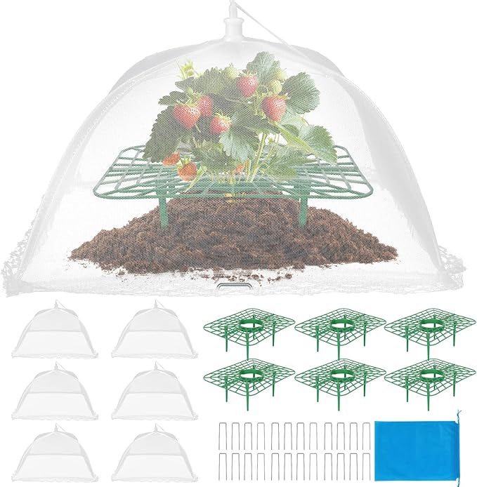 6 Sets Strawberry Plant Support by Unknown