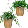 QCQHDU Self Watering Hanging Pots, 2 Pack 5.7 Inch Hanging Planters by QCQHDU