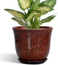 Ceramic Plant Pots by SUNPOTFOR