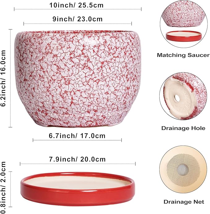 SQOWL Ceramic Planters for Indoor Plants - Image 3