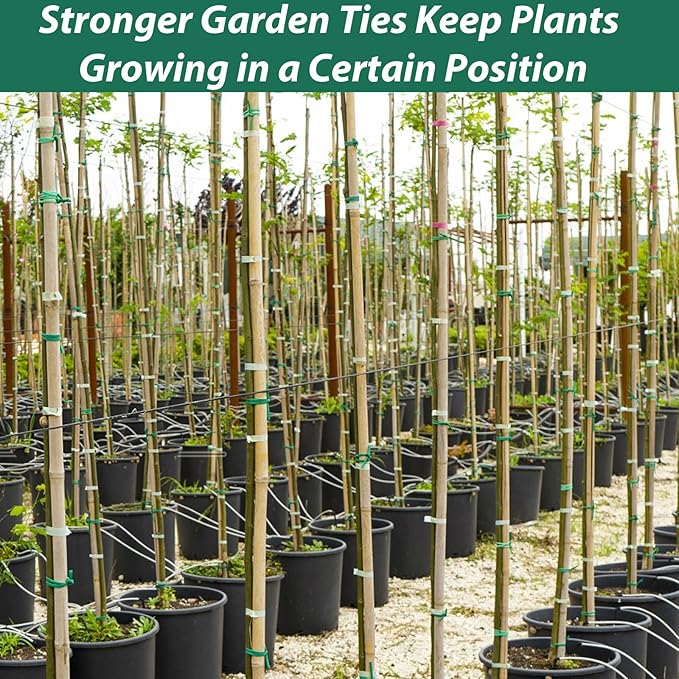 YDSL 100 Feet Soft Tie for Plants, 3 Pack Green Twist Garden Ties Gardening - Image 7