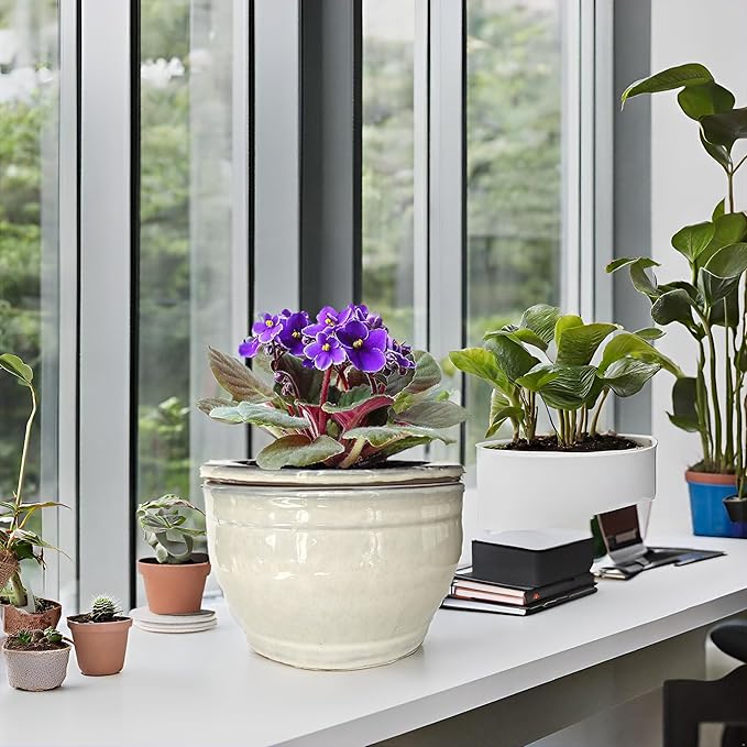 African Violet Pots Self Watering Round Ceramic Violet Pot - Image 8
