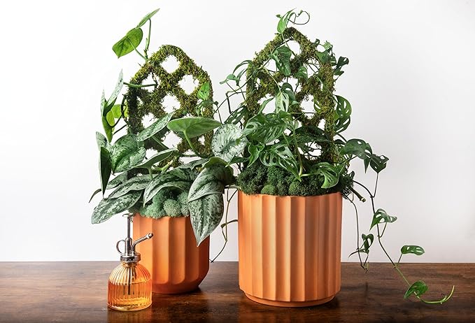 SuperMoss Plant Trellis - Image 6
