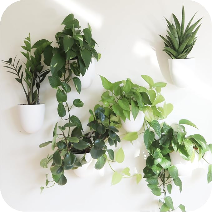 PlantPod Classic by MakeGood
