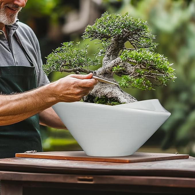 Bonsai Pots 13 Inch - Image 4