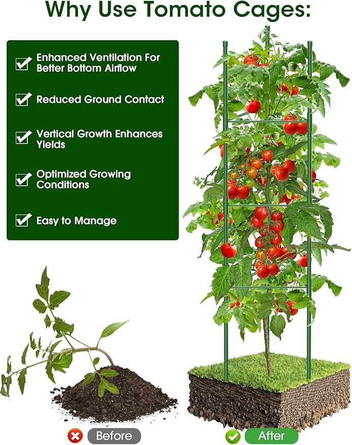 Tomato Cage for Garden, 6 Pack Tomato Trellis for Raised Garden Bed Height - Image 5