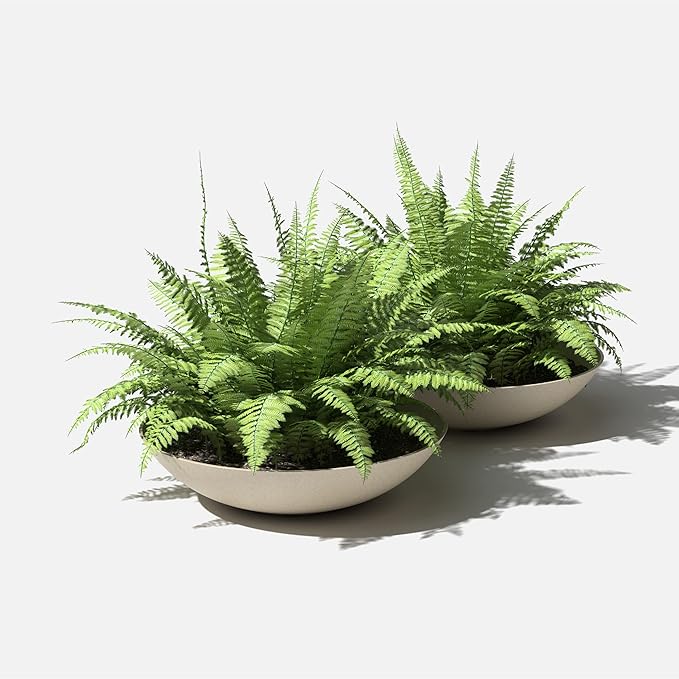 Veradek Mason Series Lane Bowl Planter| - Image 8