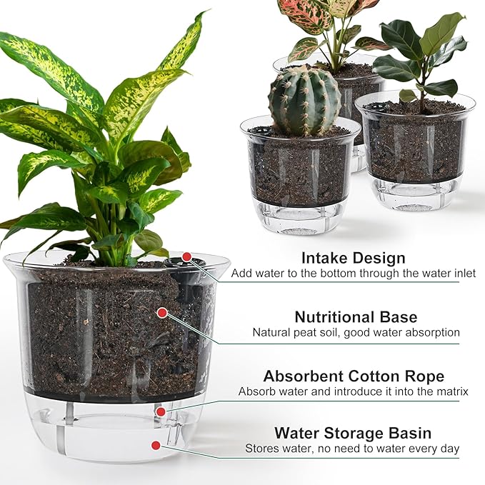 Plant Pots 6 inch Set of 3, Self Watering Pots - Image 4