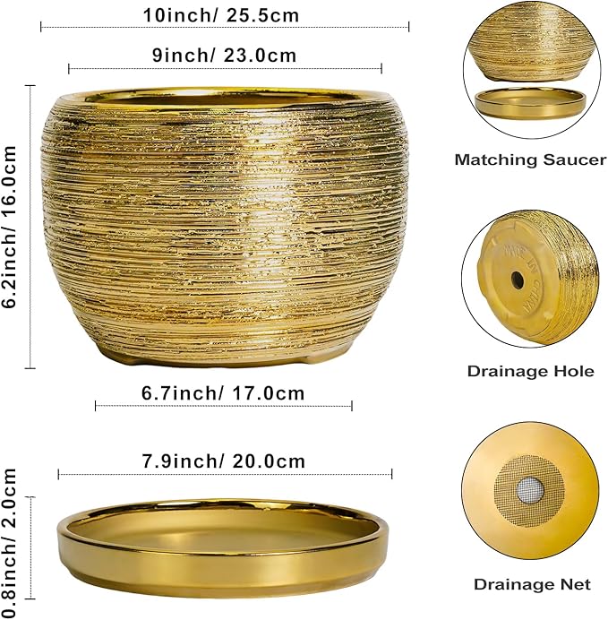 SQOWL Ceramic Planter for Indoor Plants - Image 3