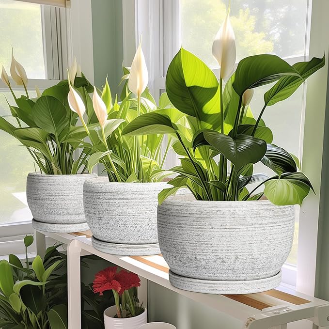SQOWL Ceramic Planters for Indoor Plants - Image 5