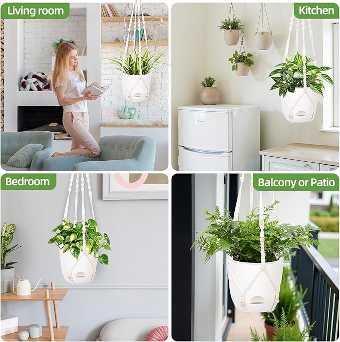 2-Pack 7.1-Inch Self-Watering Orchid Hanging planterS - Image 7