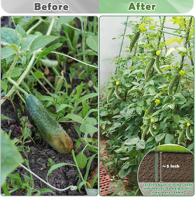 Cucumber Trellis for Raised Beds, 63 x 45 Inch U-Shaped Garden Trellis for - Image 5