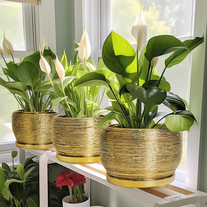 SQOWL Ceramic Planter for Indoor Plants - Image 6