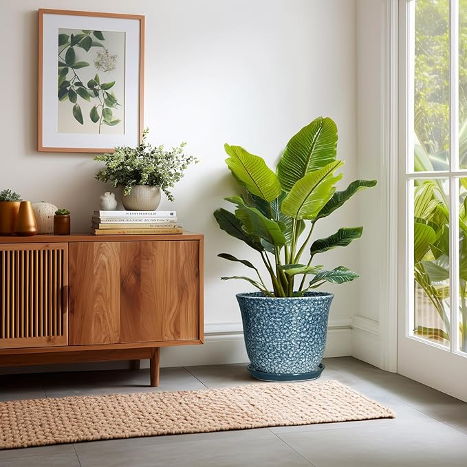 Ceramic Plant Pots - Image 6