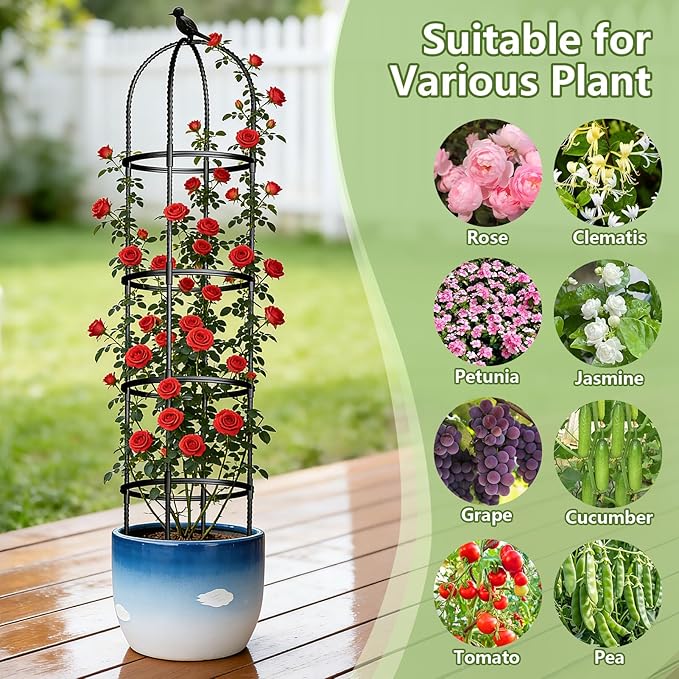 Obelisk Trellis for Garden Plants Climbing: 6ft Rustproof Metal Pipe - Image 5