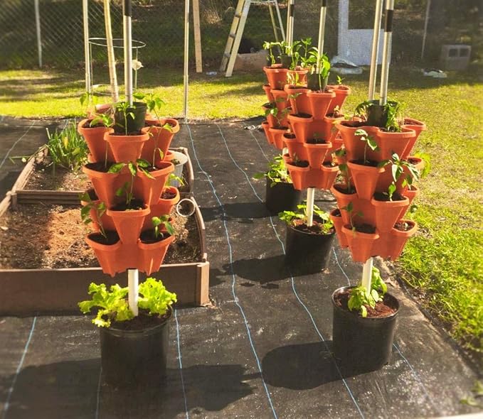 5 Tier Stackable Strawberry, and Vegetable Planter - Image 6
