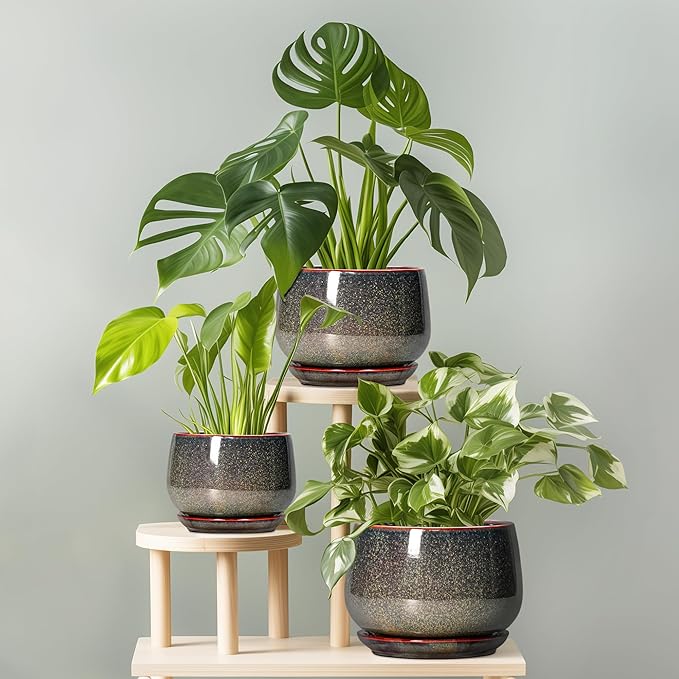 G EPGardening 6 Inch Plant Pot - Image 8