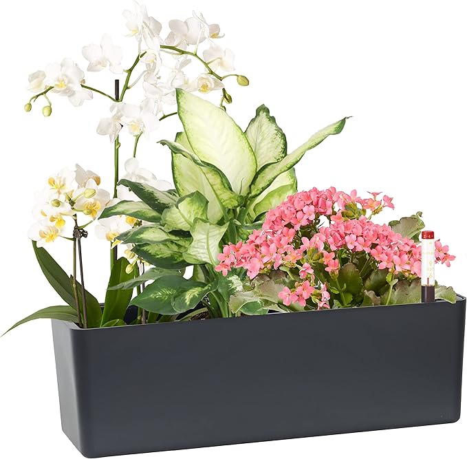 GardenBasix Elongated Self Watering Planter Pots Window Box 5.5 x 16 inch by GardenBasix